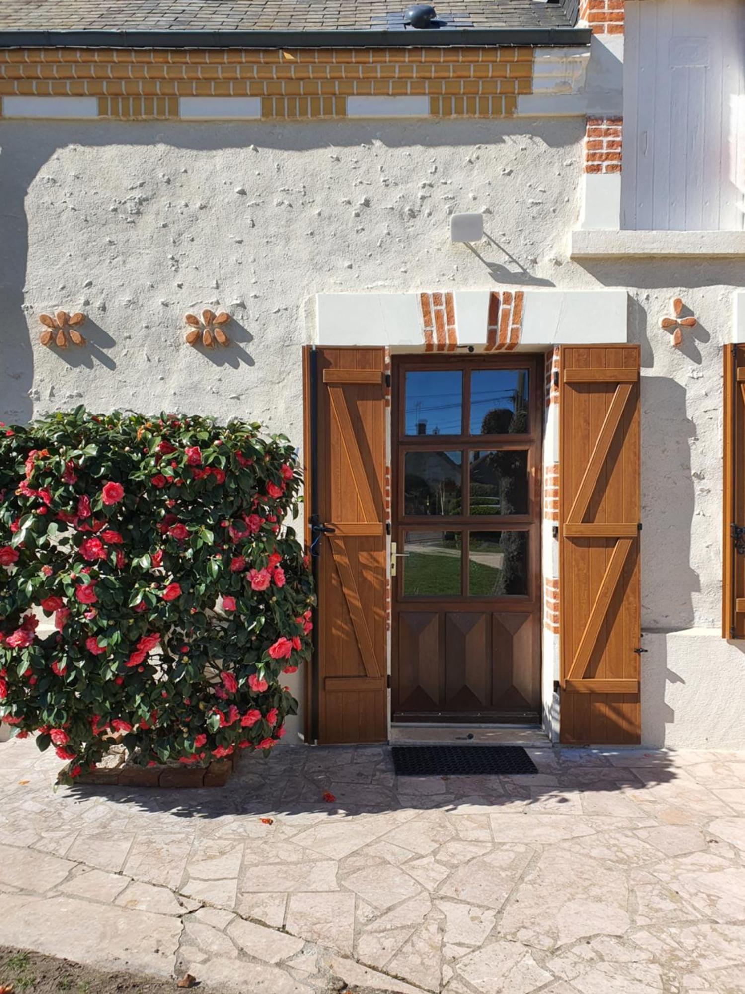 Les Camelias Villa Сел-сюр-Шер Екстериор снимка